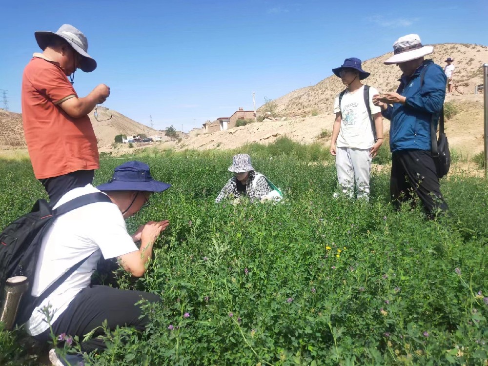甘肅農業(yè)大學植保學院王院長率領科研團隊蒞臨我公司蘭州飼草牧草制種實驗站考察調研